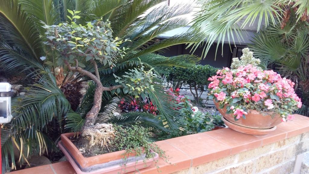 B&B Mirella Читта-Сант'Анджело Екстер'єр фото